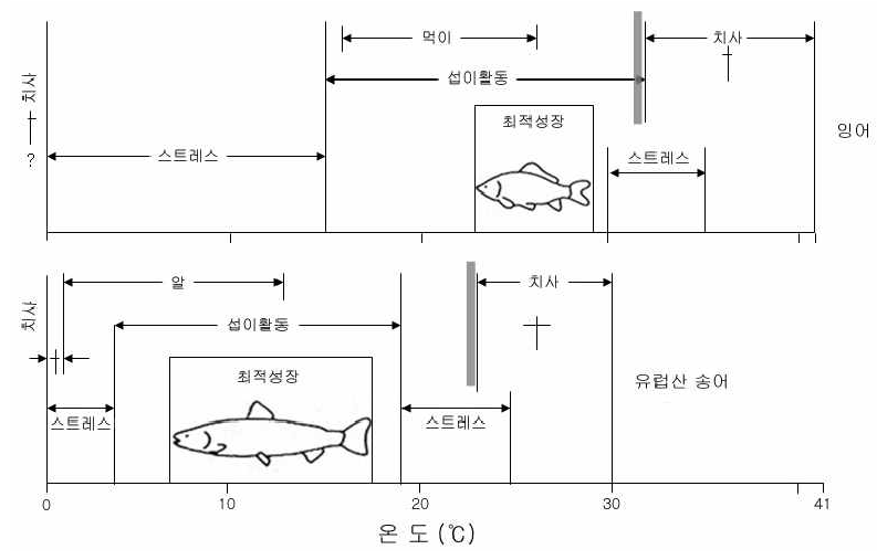 수온 변화에 대한 어류의 생리반응 모식도.