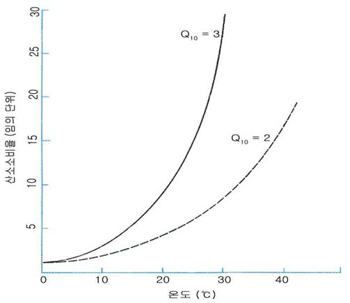 수온변화에 따른 해양생물의 호흡량 변화 모식도.