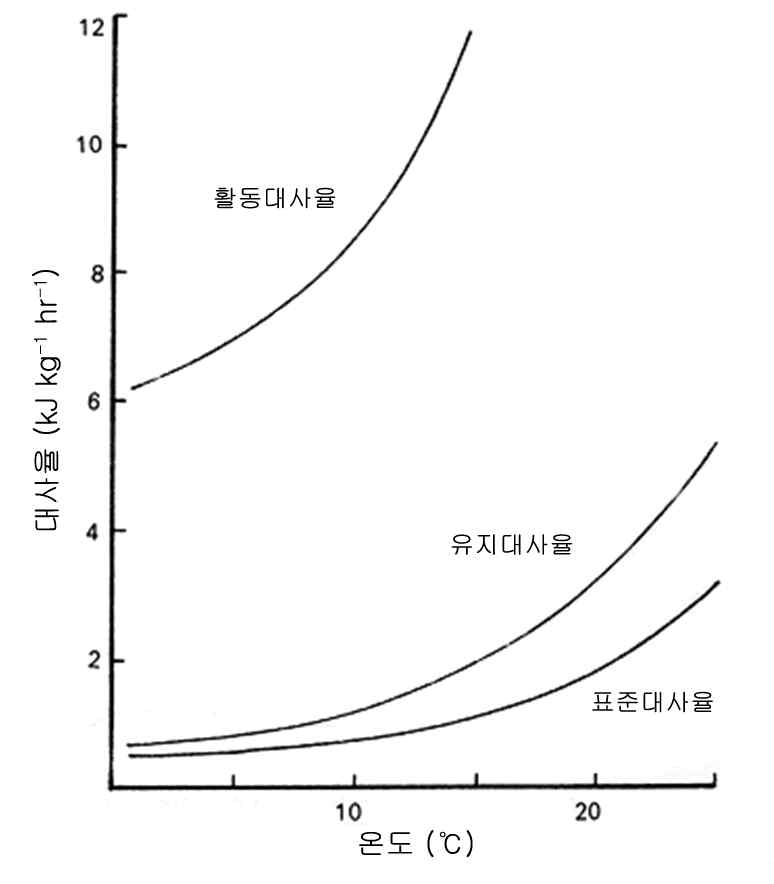 어류의 3가지 호흡 형태.