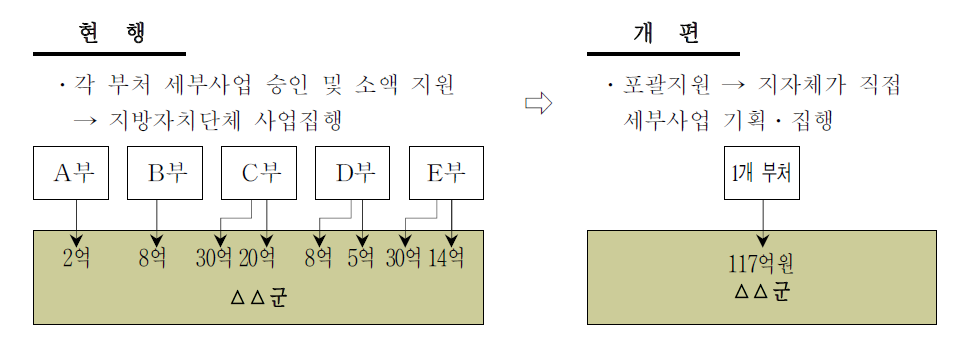 사업추진 체계 개편구상(안)