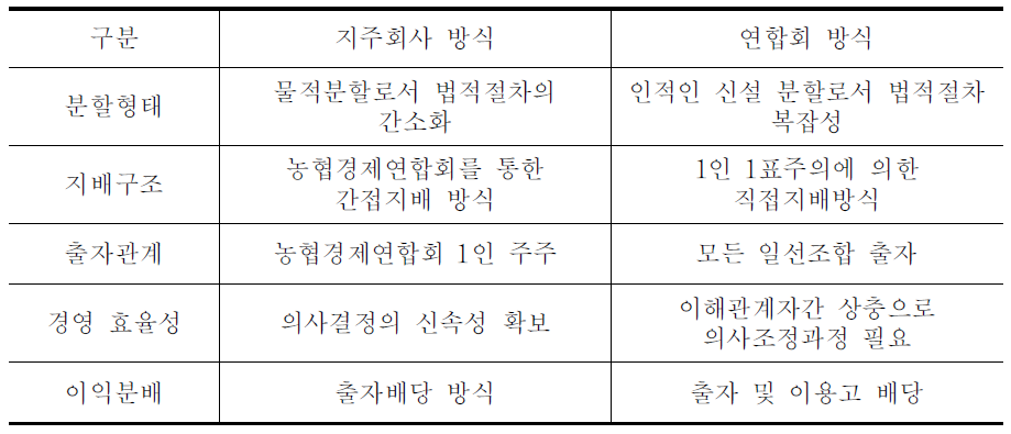 사업분리 유형별 차이점