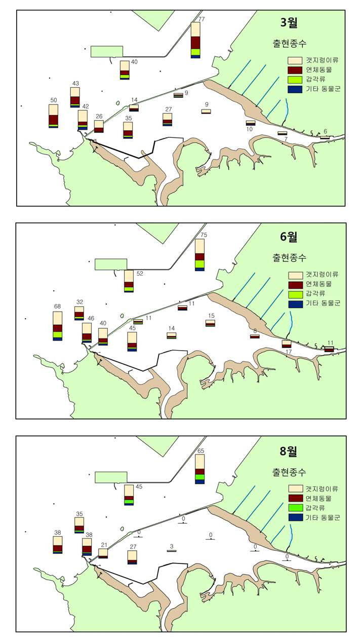 2008년 시화호 내·외해역의 대형저서동물 출현종수 분포.