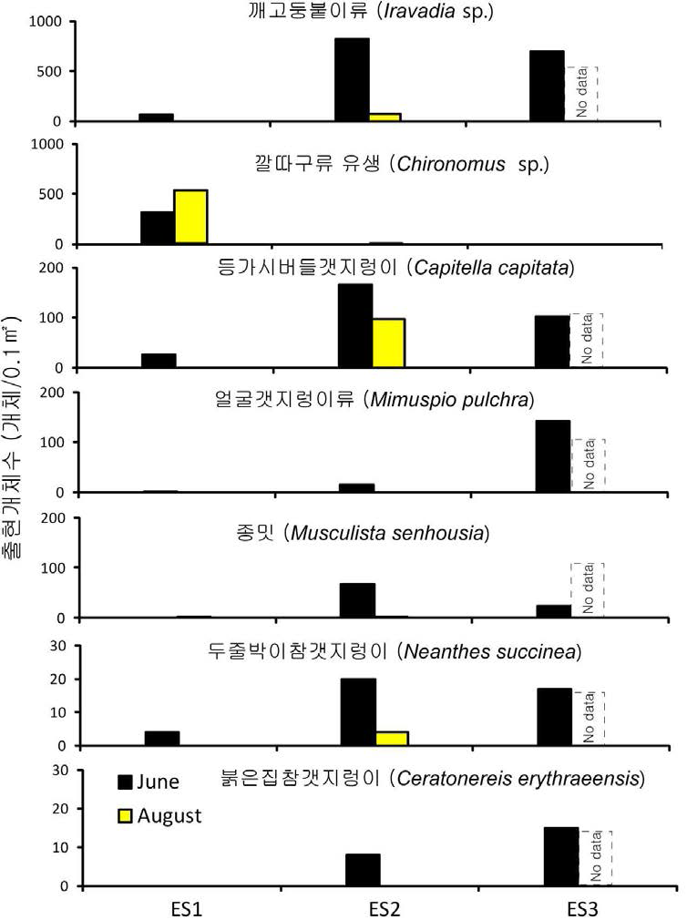 2008년 6월과 8월에 음섬 주변 (ES) 수변부에서 출현한 저서동물 우점종의 개체수 분포.