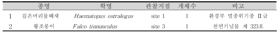 5월 조사에서 관찰된 법정 보호종