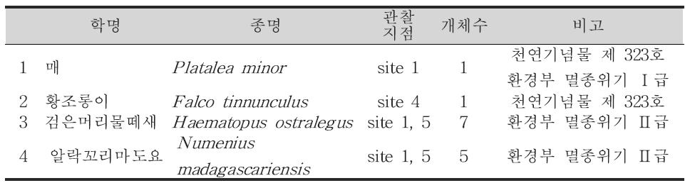 7월 전체 조사지역에서 관찰된 법정 보호종