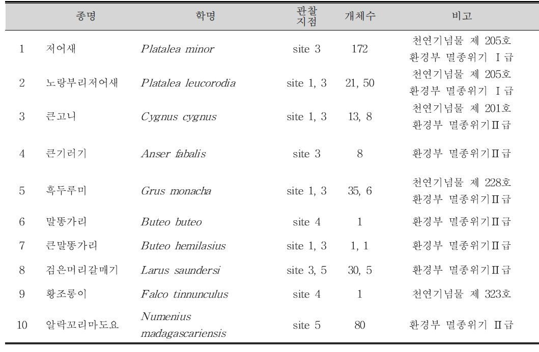 10월 전체 조사지역에서 관찰된 법정 보호종