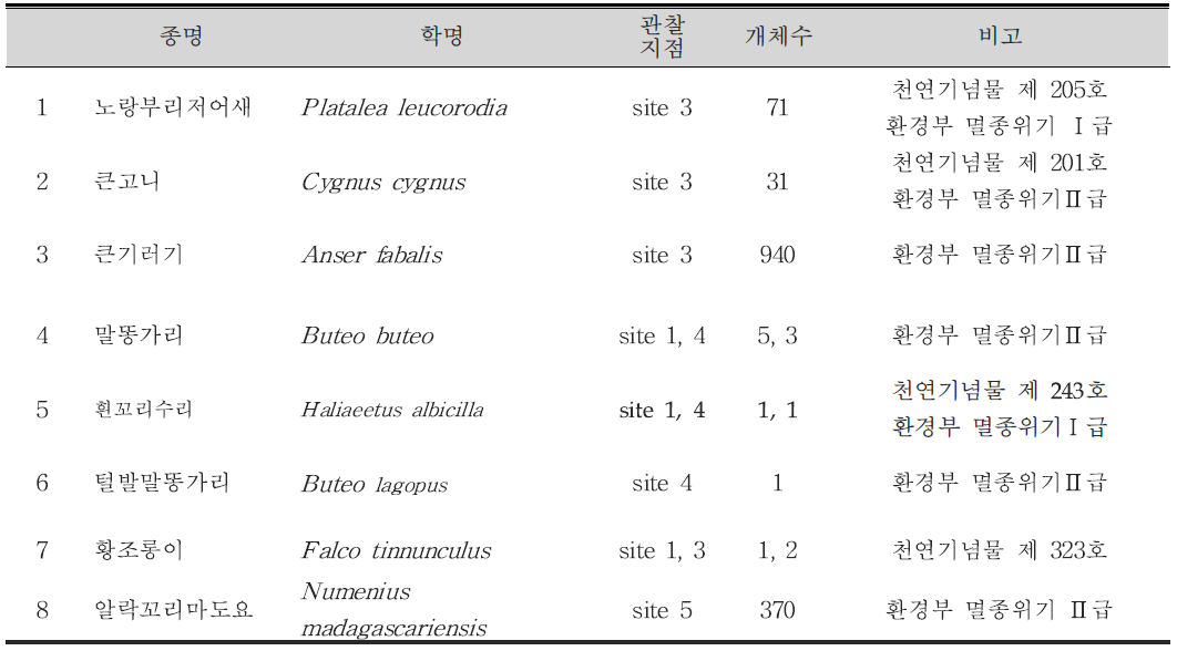 11월 전체 조사지역에서 관찰된 법정 보호종