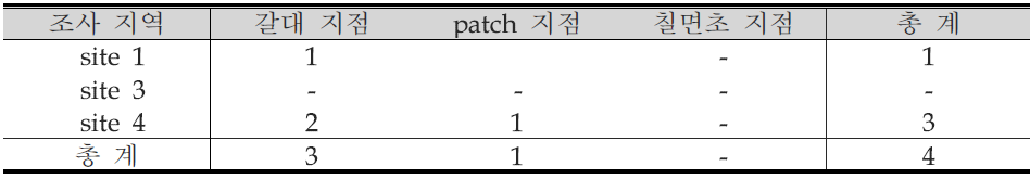 설치류 포획 조사 결과(여름 조사)