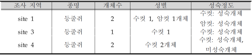 포획된 설치류의 성별 (가을 조사)