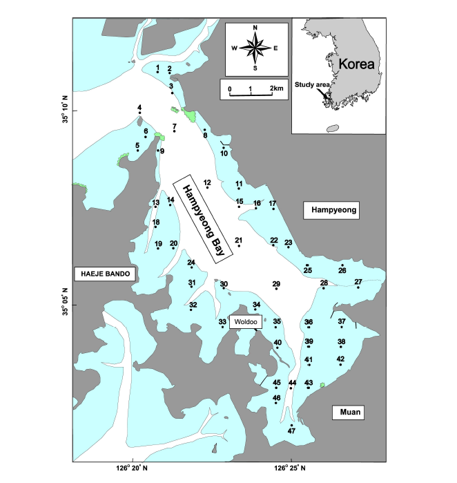 함평만 환경보전해역에서 갯벌의 생물상 조사정점