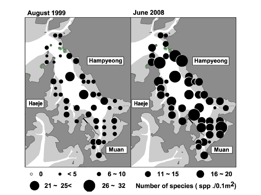 함평만 갯벌에서 출현한 대형저서동물의 출현종수