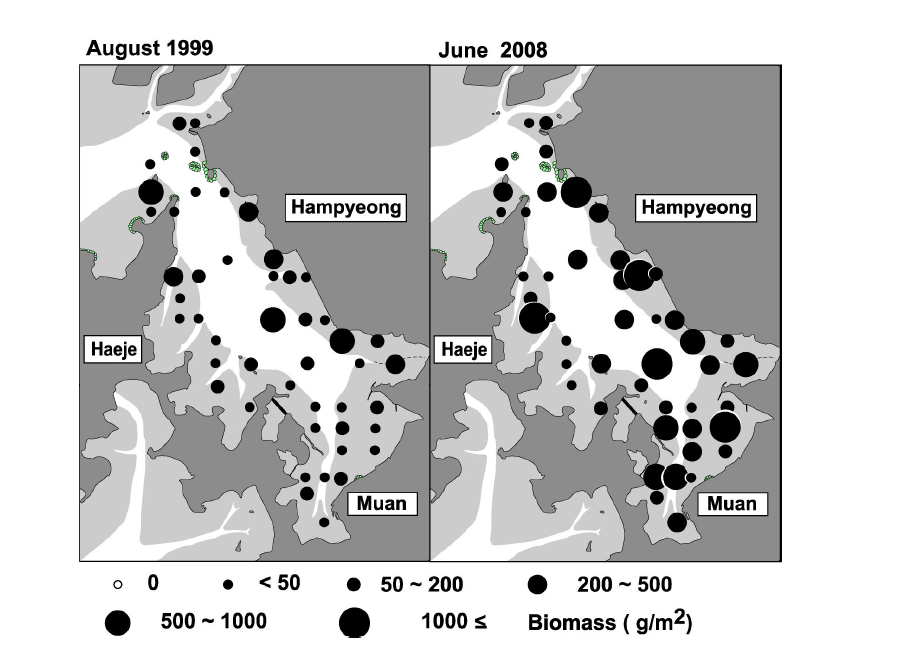 함평만 갯벌에서 출현한 대형저서동물의 생체량분포
