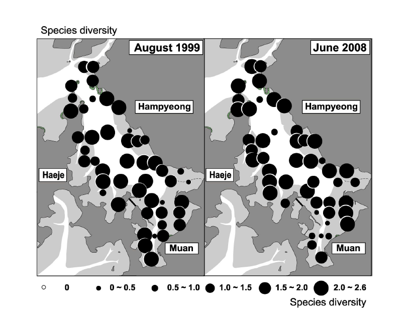 함평만 갯벌 대형저서동물 군집의 종다양도 공간분포