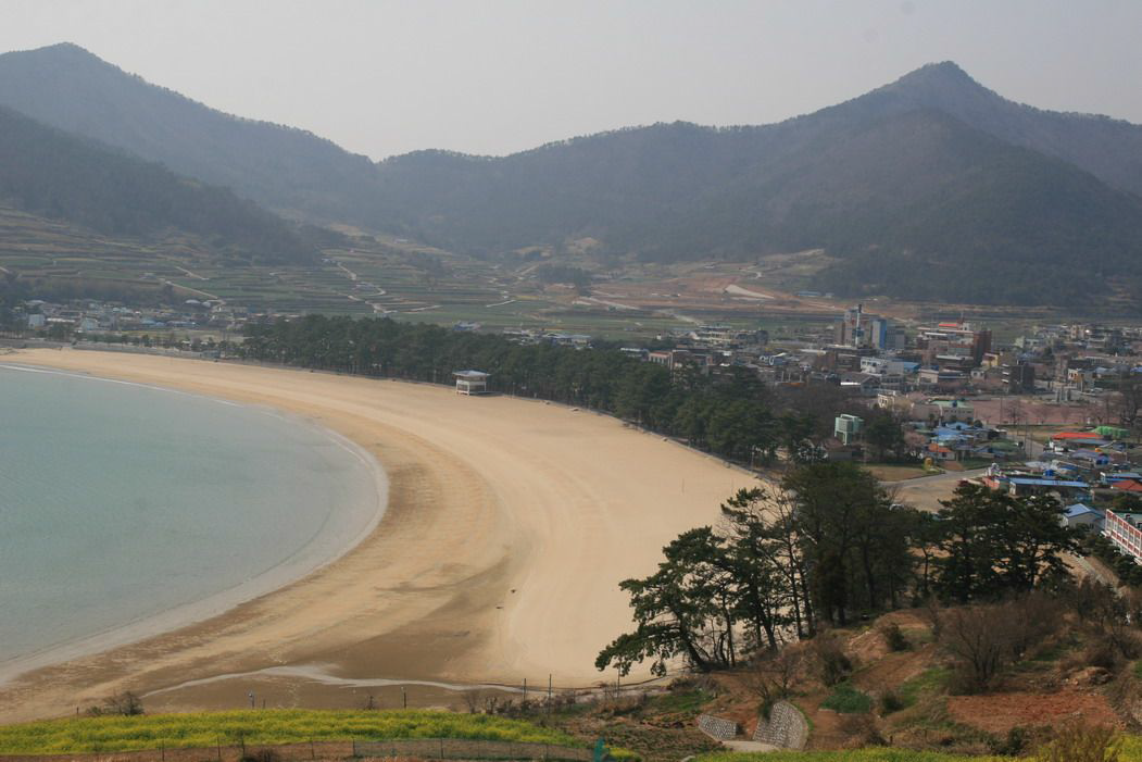 남해군 상주해수욕장 해안림