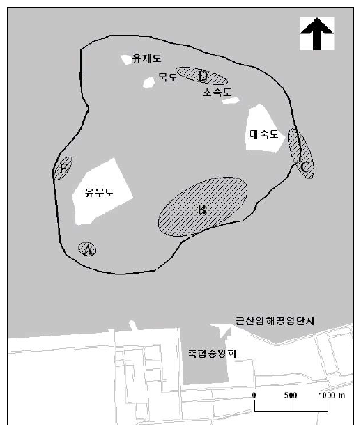 2006년 겨울철조류동시센서스 -유부도