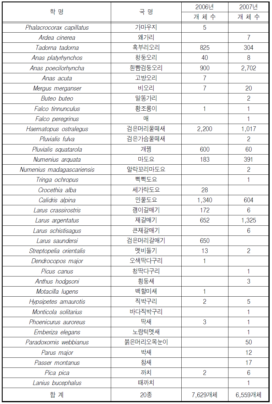 겨울철조류동시센서스-유부도 지역 관찰 종 및 개체수