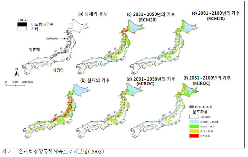 RCM20과 MIROC를 이용한 장래의 너도밤나무숲 분포확률의 예측
