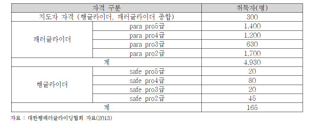 패러글라이더 조종자 자격 취득자 현황