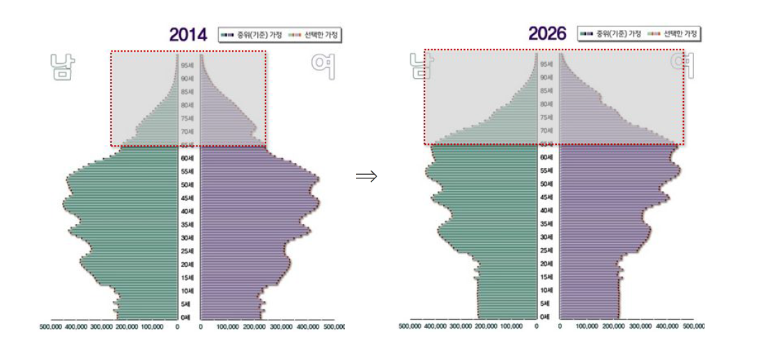 고령인구 증가에 따른 인구구조 변화