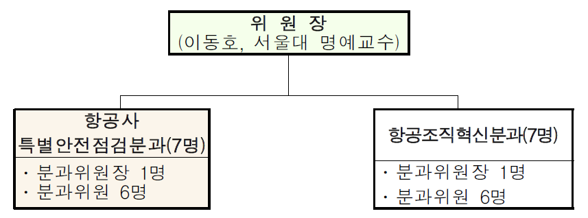 항공안전특별위원회 조직