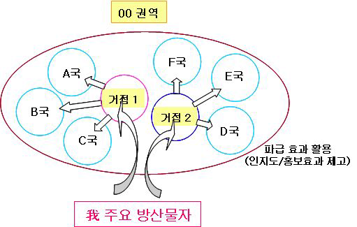 거점국가 전략