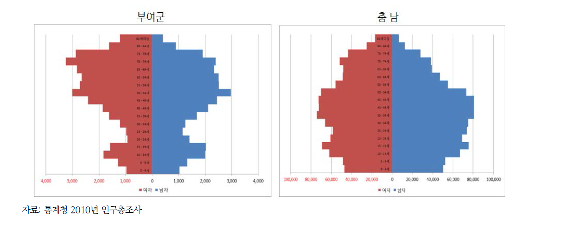 부여군 성별 연령별 인구피라미드