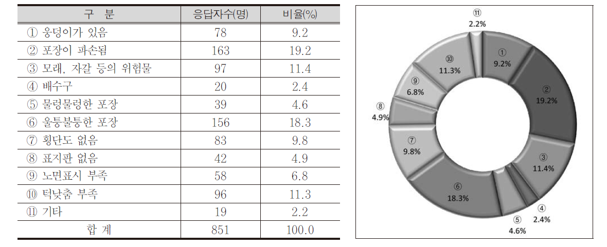 자전거도로 포장, 표지 등의 문제점