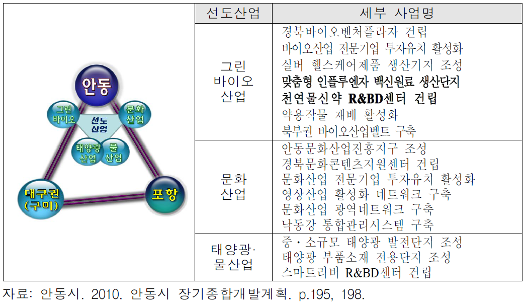 안동 선도산업 관련 세부 사업계획