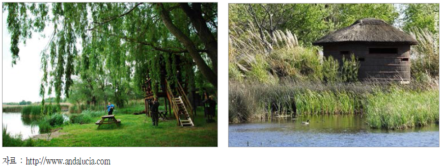 스페인 탐조대 사례(andalucia bird watcing tower)