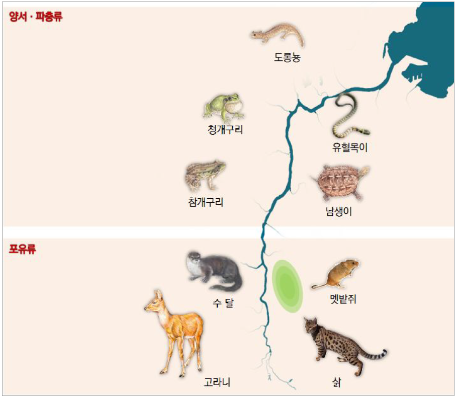 형산강 유역 포유류 및 양서파충류 서식현황