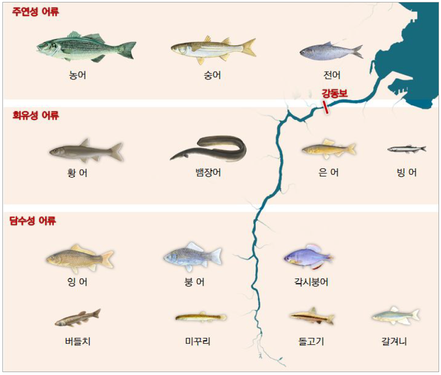 형산강 유역 어류 서식현황