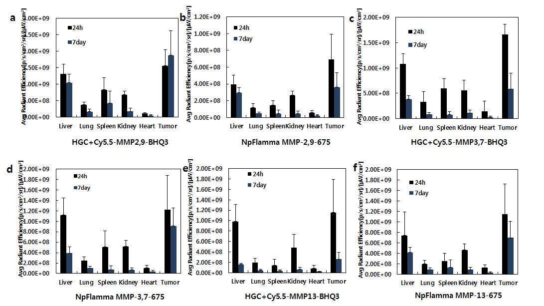 SCC7 종양 모델에서의 단백질 분해효소 특이 분해 나노입자별 장기축적 정량화.