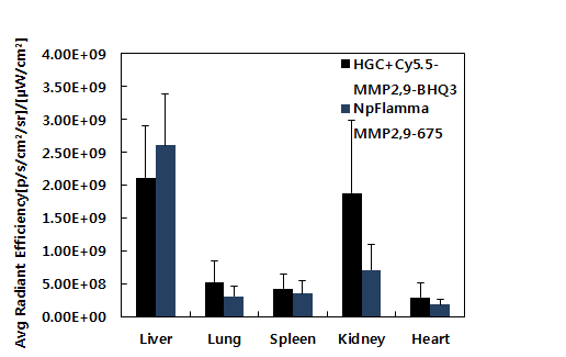 MDAMB468 간암 모델에서의 단백질 분해효소 특이 분해 나노입자별 장기축적 정량화.