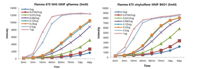 (Flamma 675 (NHS ester/vinylsulfone))+(MMP-2,9 펩타이드)+BK01 화합물의 효소 반응에 따른 형광 특성 비교.