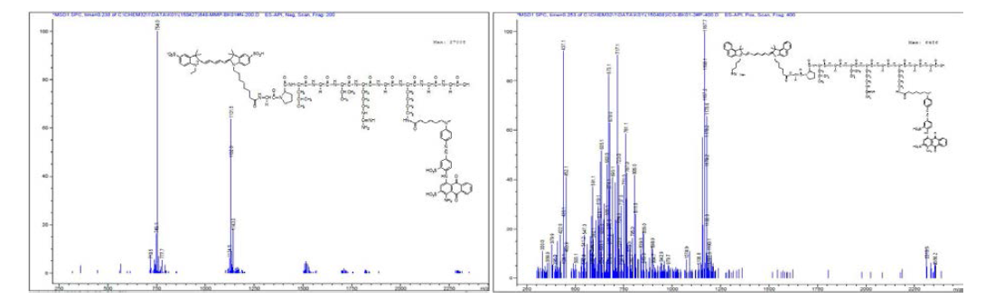 Flamma 648/ICG+(MMP-2,9 펩타이드)+BK01 화합물의 LC/MS 분석.
