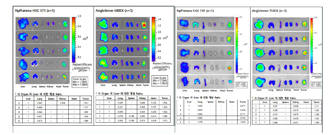 NpFlamma HGC 675, NpFlamma HGC 749 의 암 축적 효율 검증