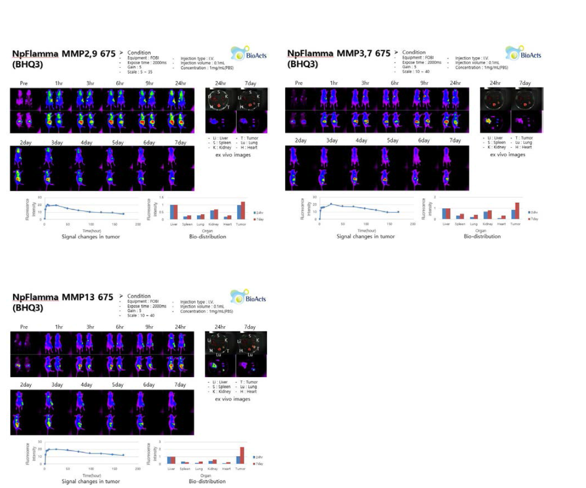 NpFlamma MMP Series 3종 (BHQ3 사용) 의 동물실험 DATA.