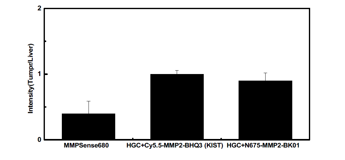 SCC7 종양 모델에서의 단백질 분해효소 특이 근적외 나노입자의 암 축적 효율 정량화.