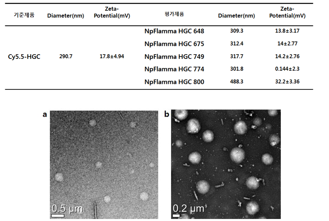 Cy5.5-HGC 나노입자(a)와 NpFlamma HGC 675 나노입자(b)의 TEM 이미지.