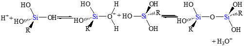 산촉매 분위기하의 SiO2 sol-gel 반응.