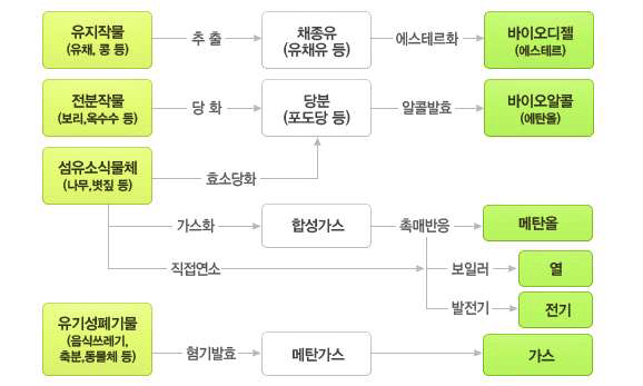 주요 바이오에너지의 종류 및 변환