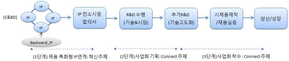 IP기반 C&BD 추진 모델