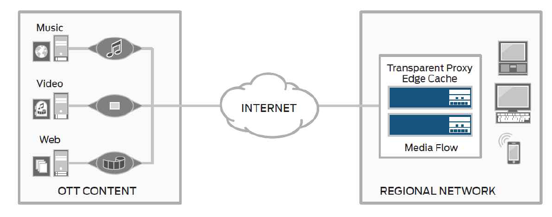 Juniper Media Flow 네트워크 최적화