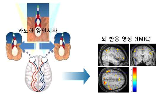 과도한 양안시차에 따른 뇌 반응 측정