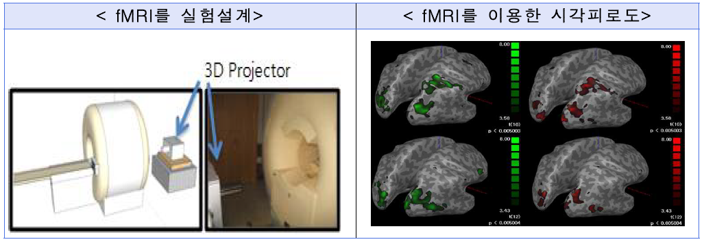 fMRI를 이용한 시각피로 정량화 연구