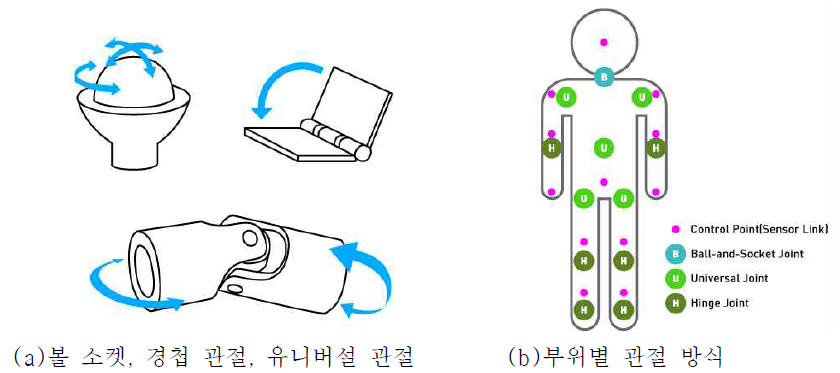 아바타의 관절 설계