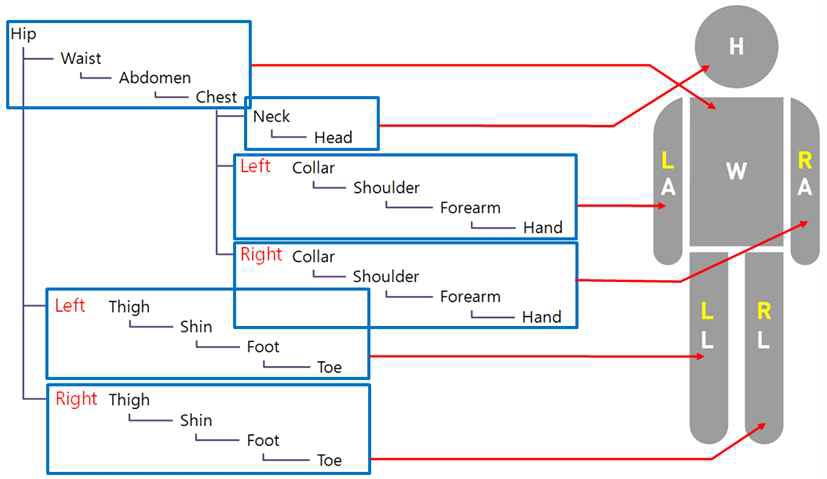 22개의 계층적 관절 구조와 6개의 관절 그룹 정의