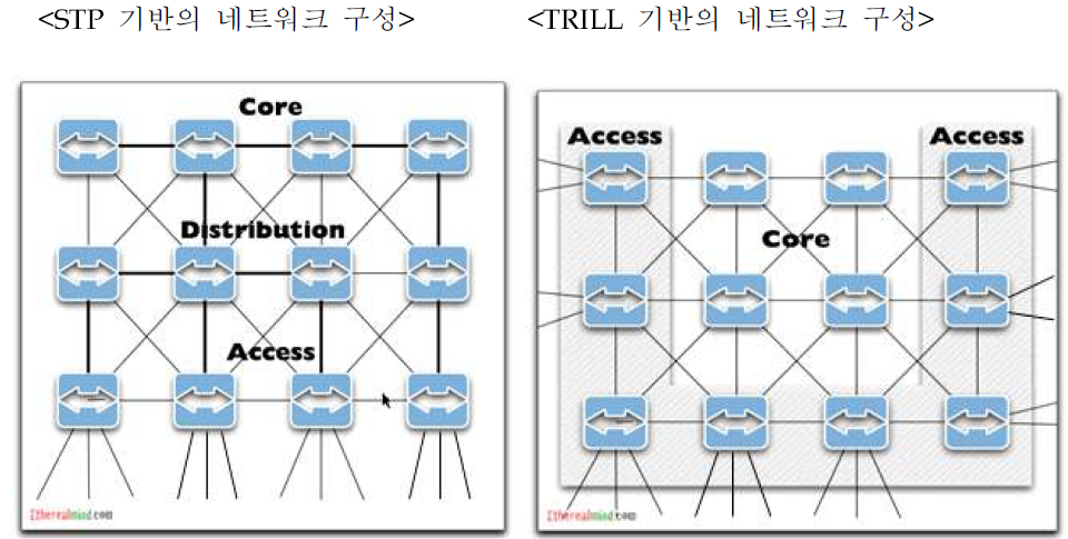 STP 및 TRILL 기반 네트워크 구성