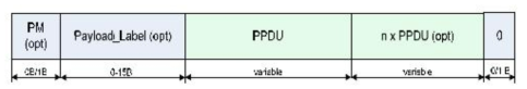 PPDU 데이터 구조 (User traffic 지원)