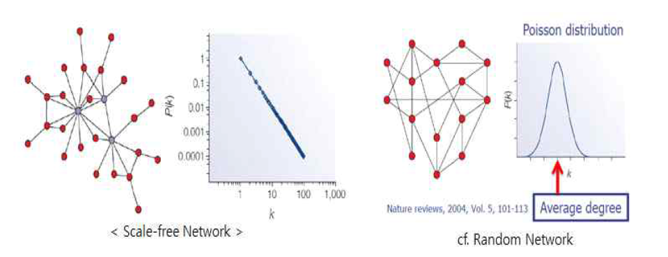 척도 없는(Sacle-free) 네트워크와 무작위(Random) 네트워크 비교